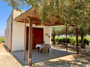 Casa tra i vigneti, 2 km dal mare, Tre Fontane